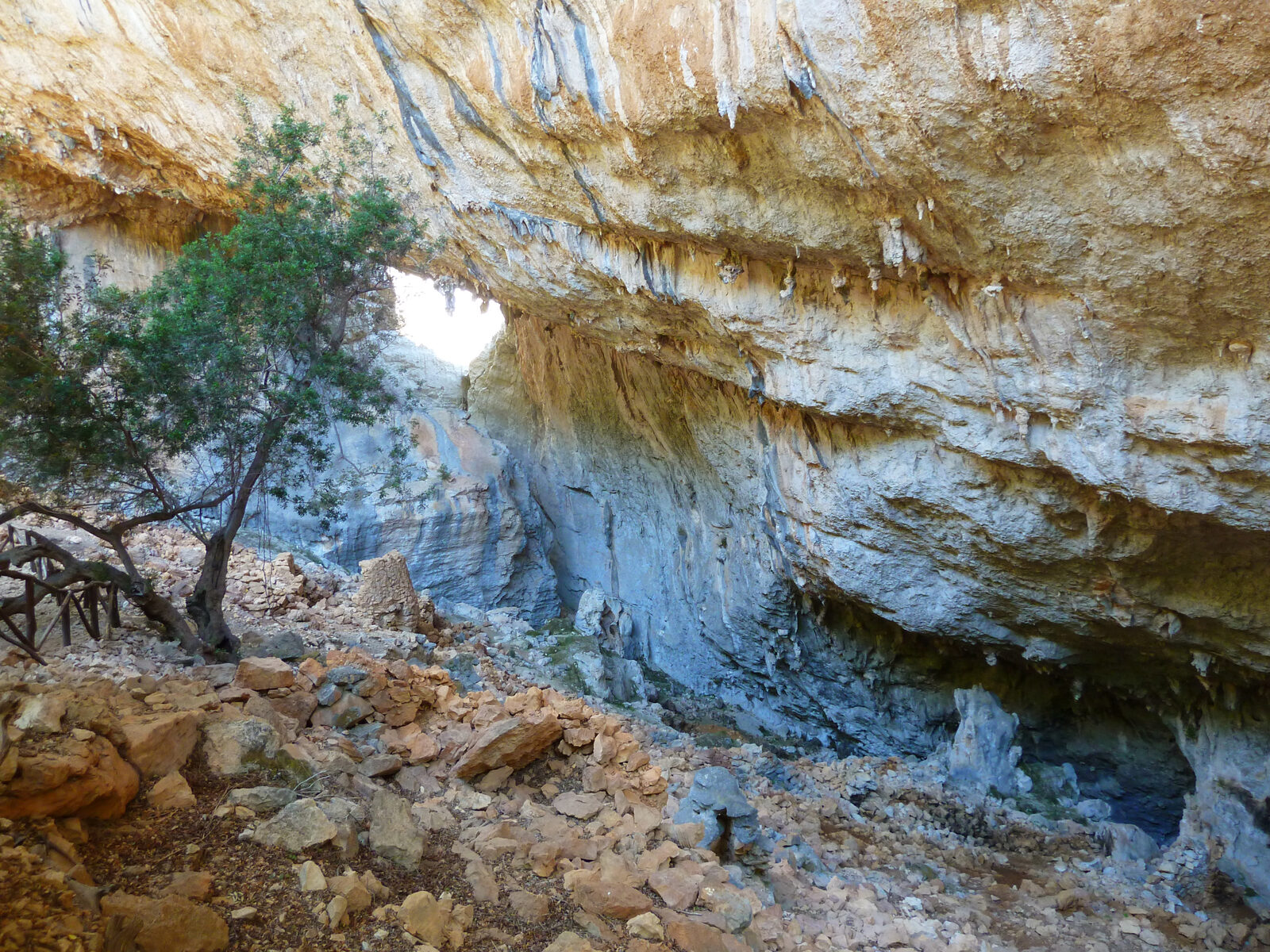 Montagna